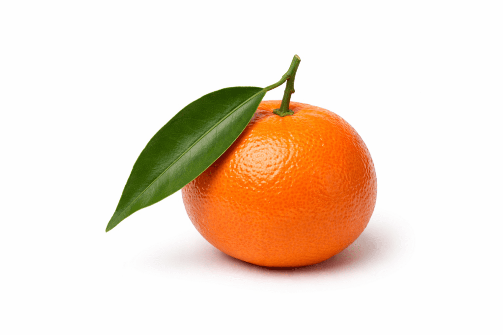 Mandarina Orri y Tangold con hoja fresca, variedad premium para suministro mayorista en España y Europa.