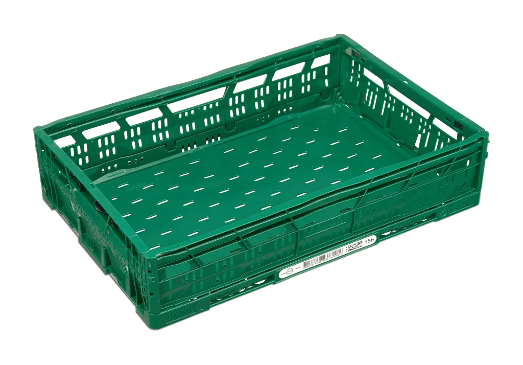 EuroPool 156 verde para fruta de hueso a granel