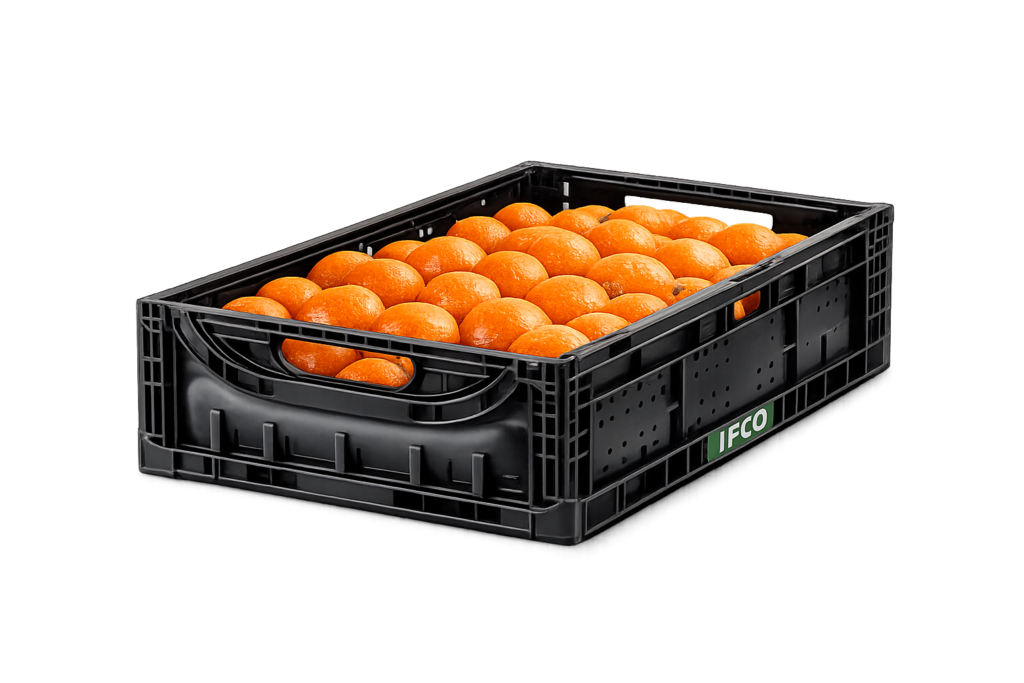 productor, proveedor y exportador de clementina a granel para gran distribución en Murcia y Alicante