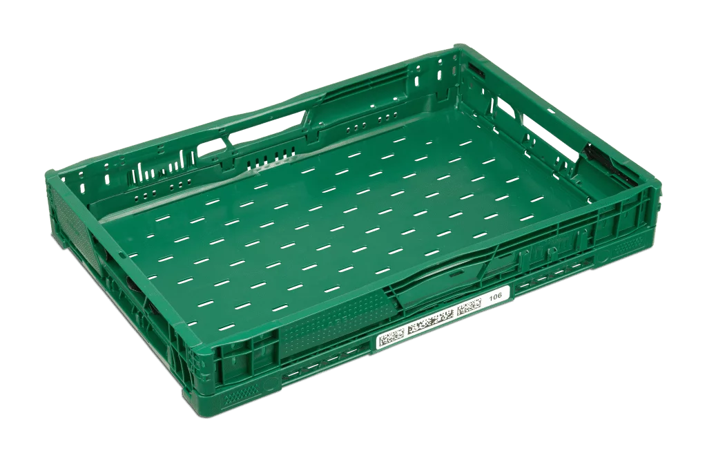 Caja EuroPool verde para fruta de hueso en alveolo 60x40