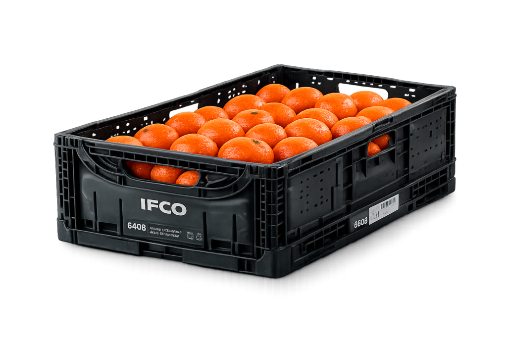productor, proveedor y exportador de mandarinas a granel para gran distribución en Murcia y Alicante