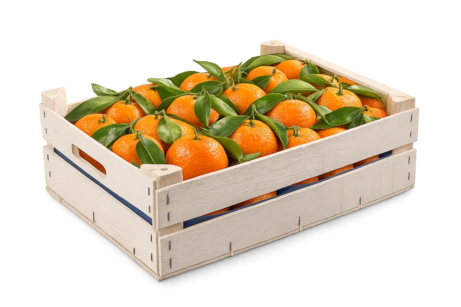 proveedor de mandarinas con hoja calibrada para exportación