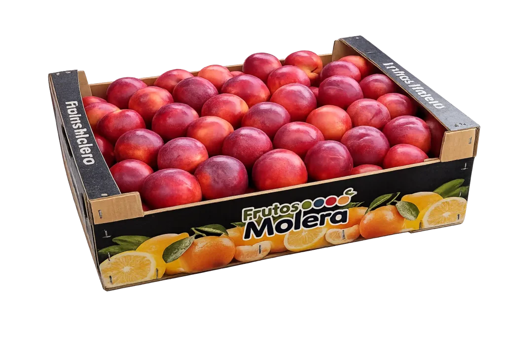 Nectarina a granel en caja de 10 kg para venta al por mayor