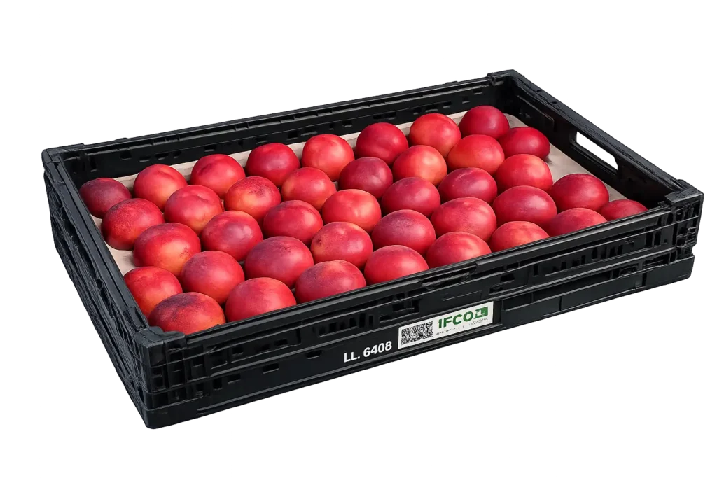 Nectarina en alveolo 60x40 en caja IFCO BLL 6408